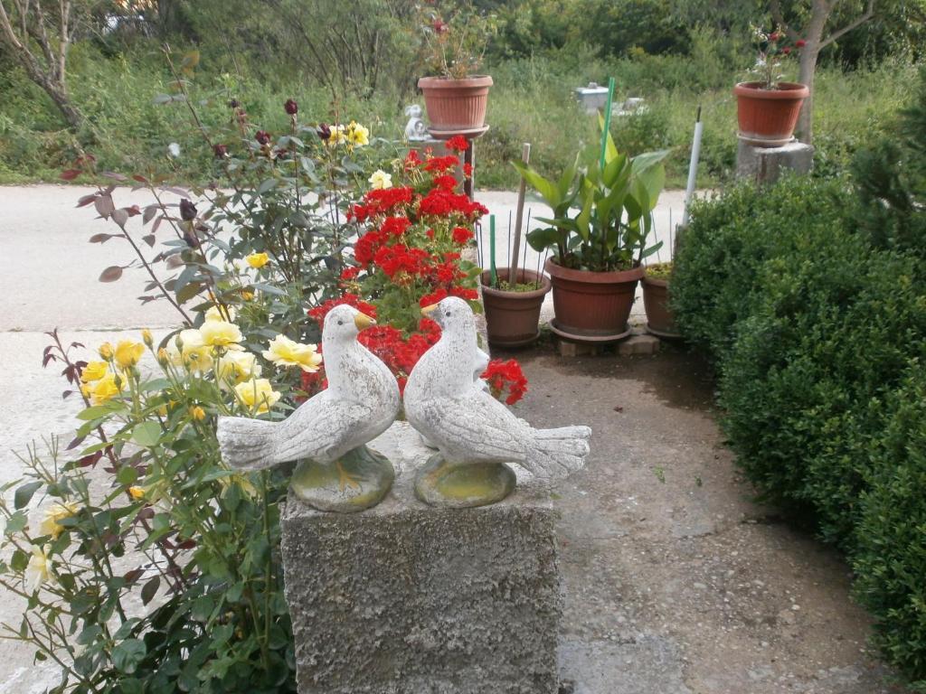 Villa Ana Medjugorje Exterior photo