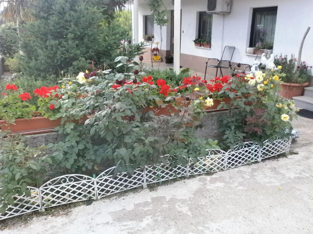 Villa Ana Medjugorje Exterior photo